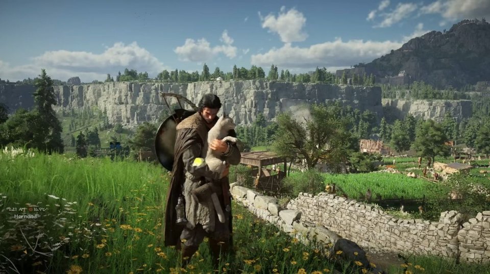 Crimson Desert Gatto