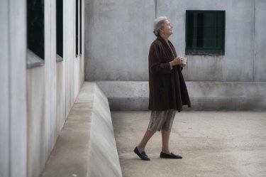 Camera Consiglio Betty Pedrazzi