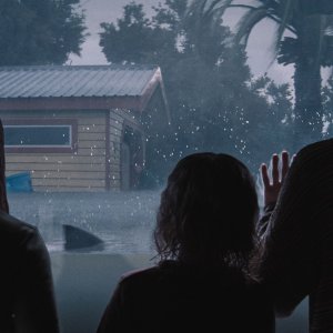 Thrash - Furia dall'oceano: un'immagine del film