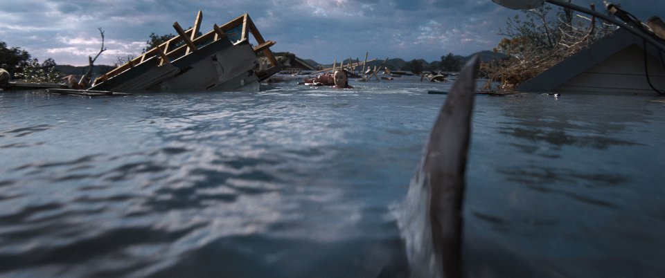 Trash Immagine Dello Squalo