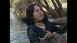 Lo sguardo misterioso del fenicottero - Trailer sottotitolato del dramma