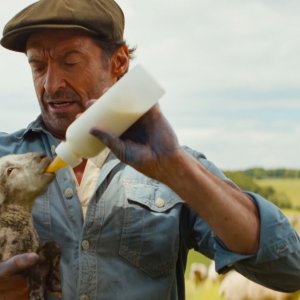 Pecore sotto copertura: Hugh Jackman che da' il biberon a un agnellino