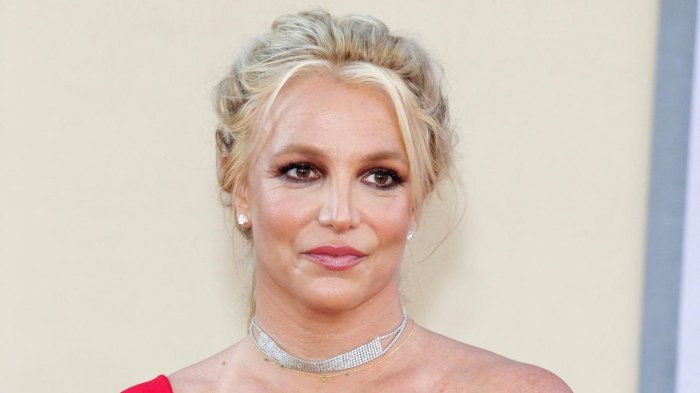 Britney Spears, colpevole di 'guida spericolata', condannata a 12 mesi di libertà vigilata