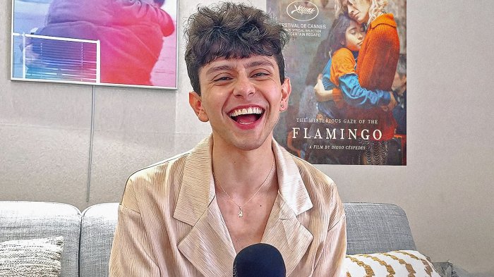 Lo sguardo misterioso del fenicottero, Diego Céspedes: 'Un film che mostra la bellezza nascosta'