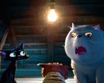 Gatto è la prima volta della Pixar in un genere 'adulto' mai esplorato