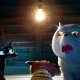 Gatto è la prima volta della Pixar in un genere 'adulto' mai esplorato