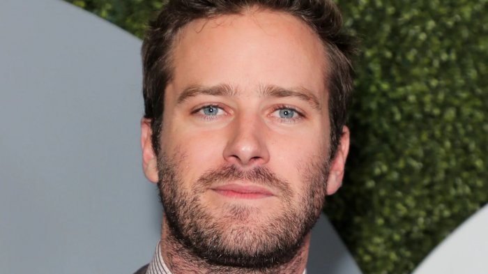 Armie Hammer: 'Voglio tornare a lavorare, avrei girato anche una dannata pubblicità di cibo per gatti'