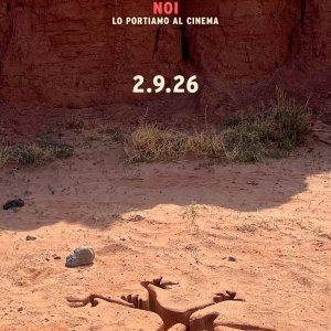 Locandina di Coyote vs. Acme