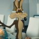 Coyote vs. Acme ha già vinto il 'premio' più grande prima ancora dell'uscita al cinema