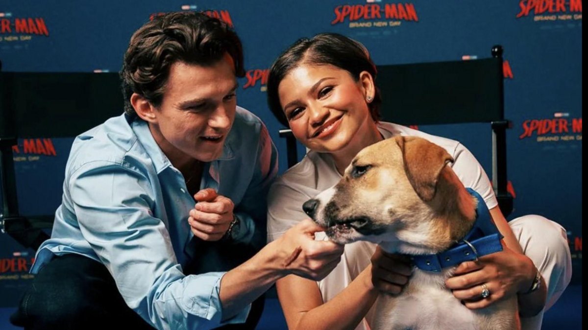 spider man brand new day tom holland zendaya e una campagna marketing fatta con il cuore da Movieplayer.it spider man brand new day tom holland zendaya e una campagna marketing fatta con il cuore