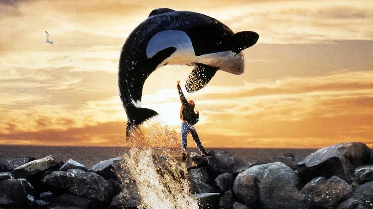 Free Willy torna al cinema: Warner Bros. prepara il reboot del classico degli anni '90