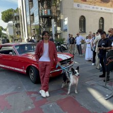 Alex Bravo: Marco Bocci con il cane Byron sul tappeto rosso all'Italian Global Series 2025