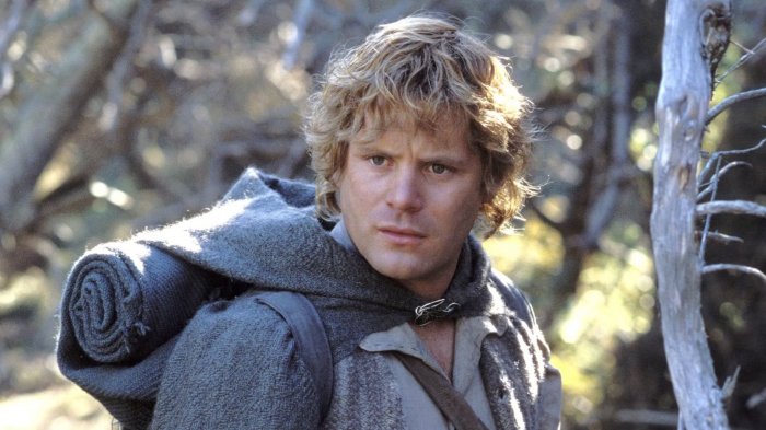 Il Signore degli Anelli, Sean Astin ha guadagnato così poco che ha dovuto vendere casa