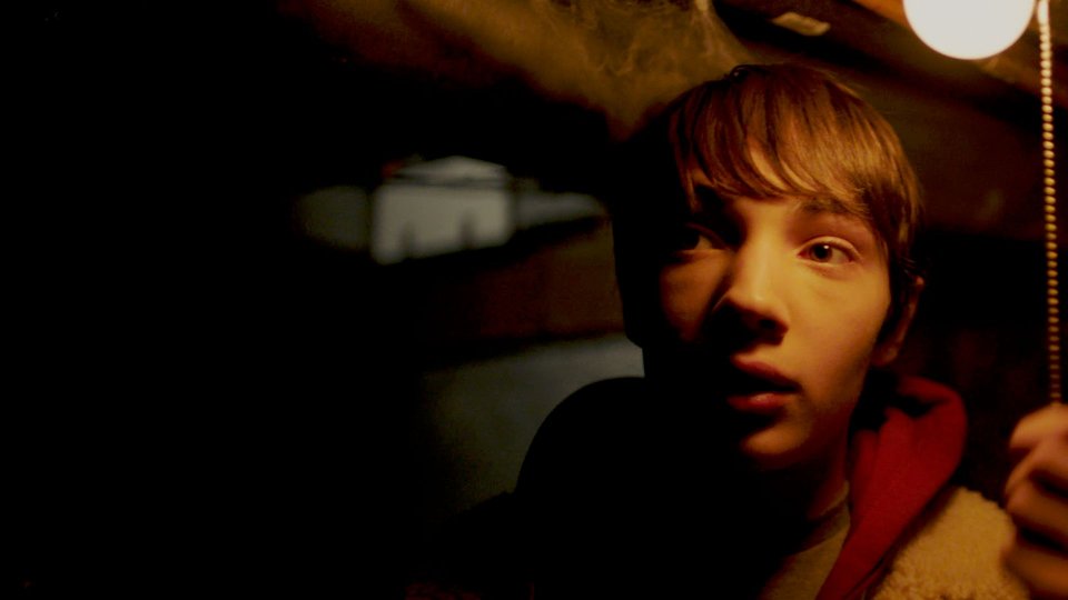 Un Frame Di The Dogs