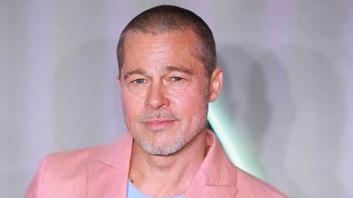 Brad Pitt ha ricominciato a bere con moderazione? 'Gli alcolisti non sono attendibili'