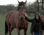 Il mio amico Tempesta stasera su Canale 5: trama, cast e il romanzo da cui è tratto