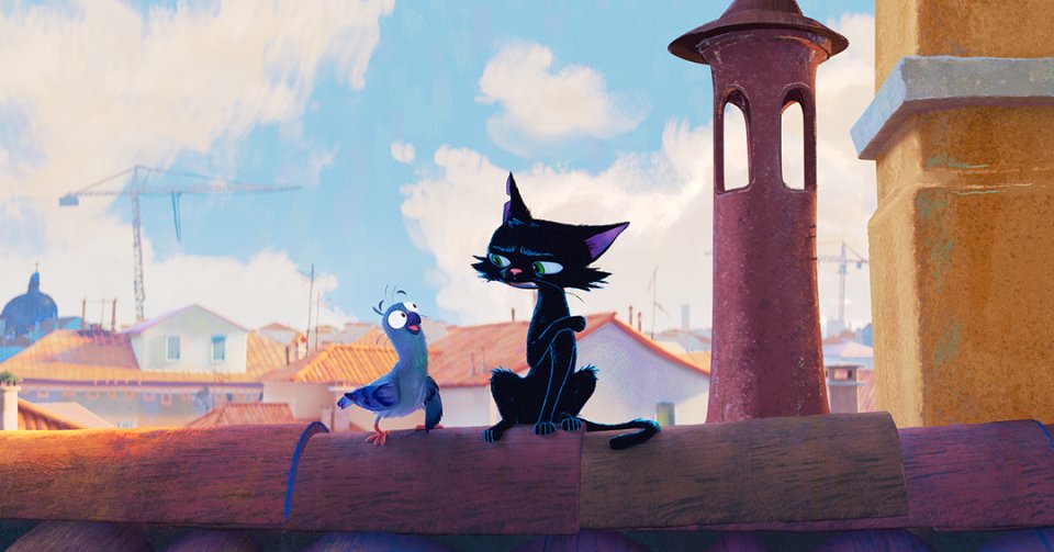 Gatto D23 Still