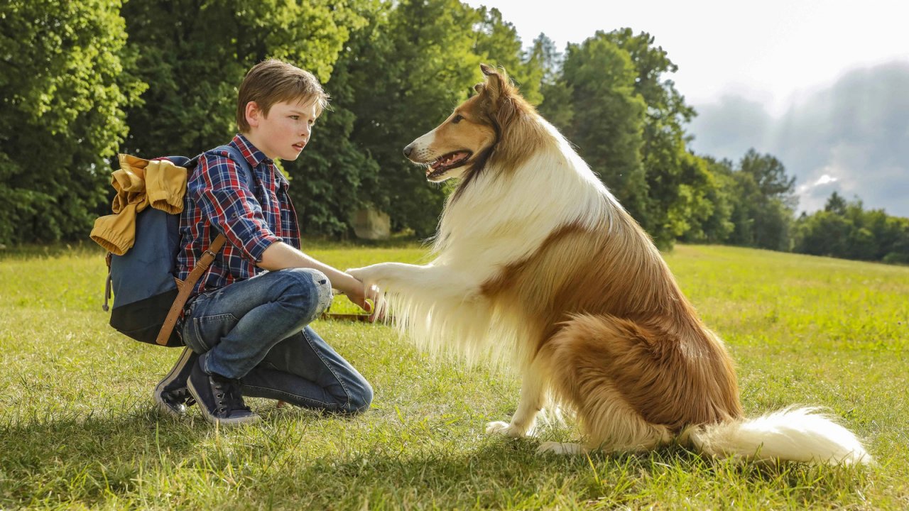 il piccolo Nico Marischka e Lassie in una scena del film