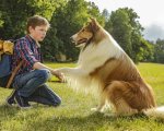 Lassie torna a casa, il remake di un classico stasera su Rai 1: trama, location e durata