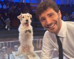 Affari Tuoi, Stefano De Martino ha già il sostituto di Gennarino