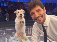 Affari Tuoi, Stefano De Martino ha già il sostituto di Gennarino