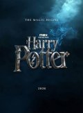 Locandina di Harry Potter