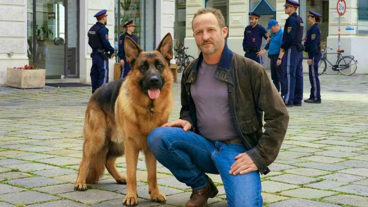 il commissario rex stasera su rai 2 trama del finale di stagione da Movieplayer.it il commissario rex stasera su rai 2 trama del finale di stagione