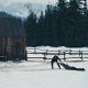 Company, recensione: il valore del racconto secondo un compassato Casey Affleck