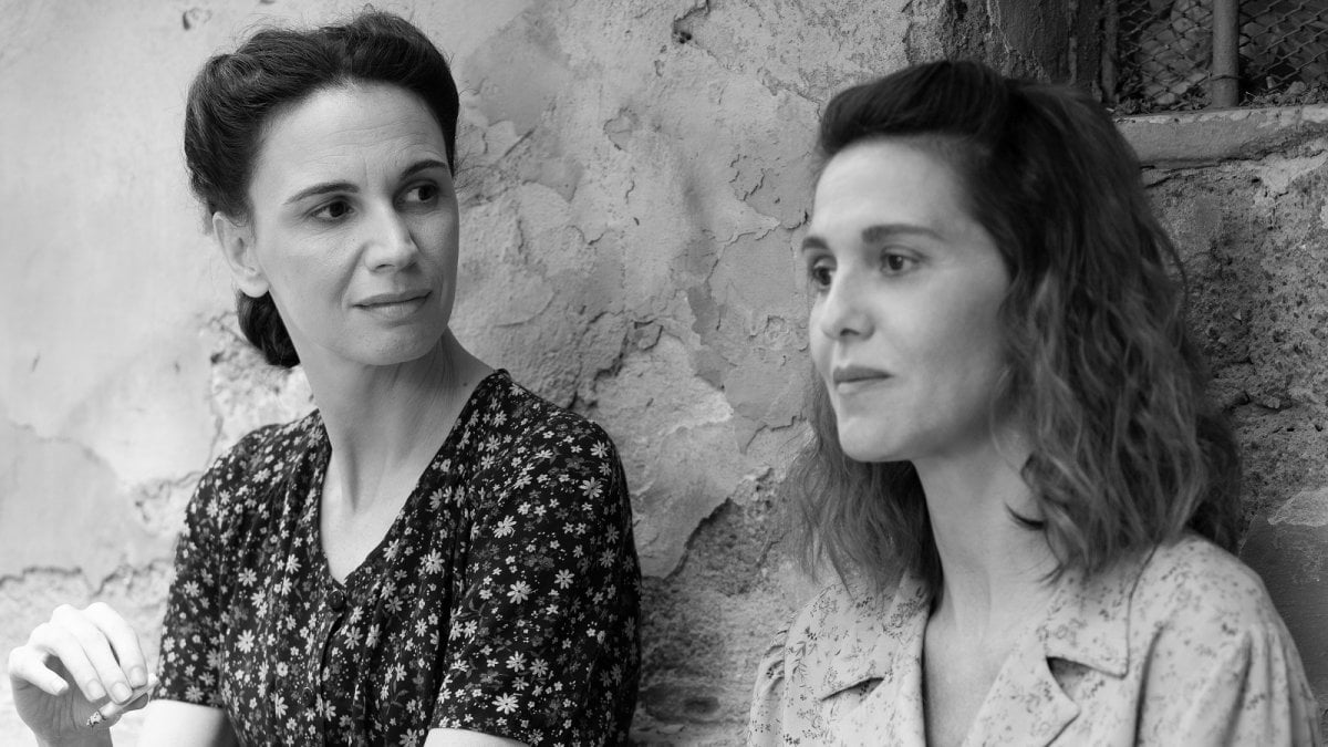 c 232 ancora domani stasera su rai 1 trama cast spiegazione del finale del film di paola cortellesi da Movieplayer.it c 232 ancora domani stasera su rai 1 trama cast spiegazione del finale del film di paola cortellesi