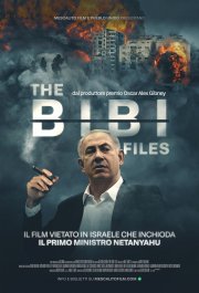 Locandina di The Bibi Files
