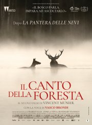 Locandina di Il canto della foresta