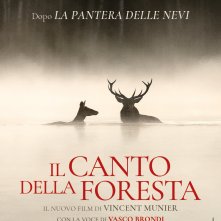 Locandina di Il canto della foresta