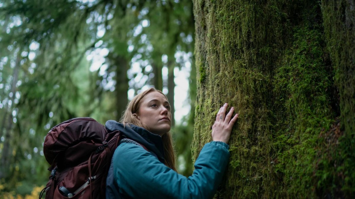 non siamo soli stasera su rai 4 trama cast e curiosit224 del thriller fantascientifico da Movieplayer.it non siamo soli stasera su rai 4 trama cast e curiosit224 del thriller fantascientifico