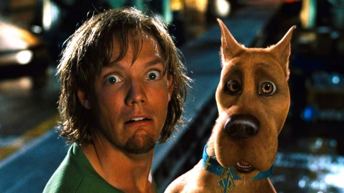 Matthew Lillard: 'Ho odiato Scooby-Doo, dopo il flop ho venduto casa e auto per sopravvivere'