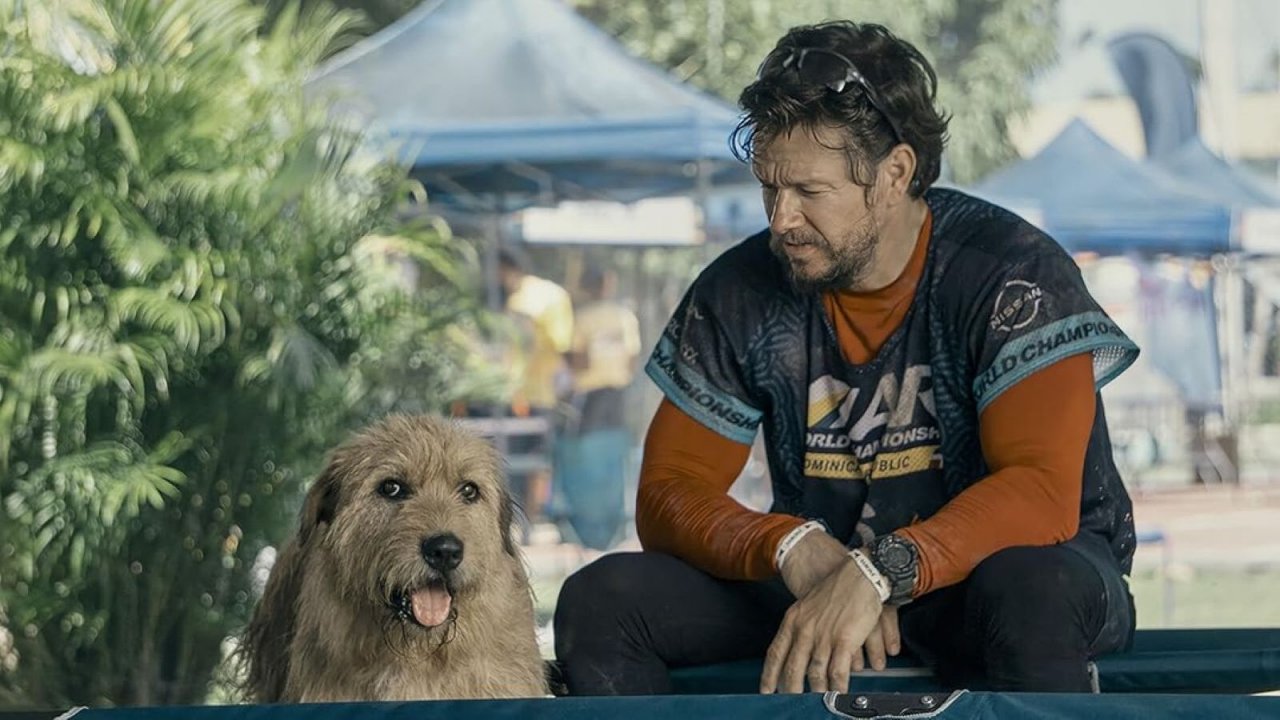 Arthur the King stasera su Rai 3: trama e storia vera del cane che ha conquistato Mark Wahlberg