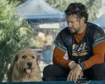 Arthur the King stasera su Rai 3: trama e storia vera del cane che ha conquistato Mark Wahlberg
