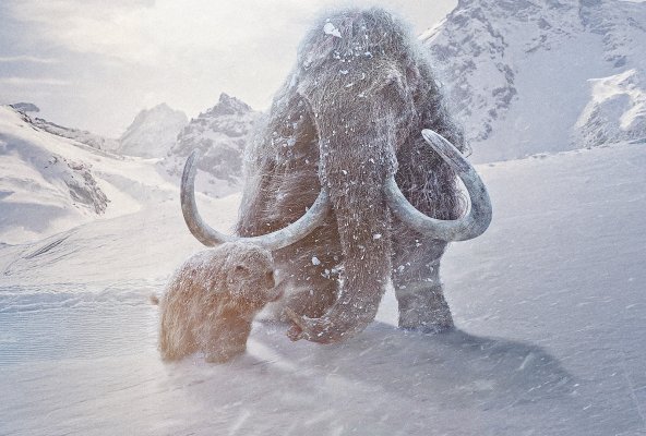 Il pianeta preistorico: Era Glaciale