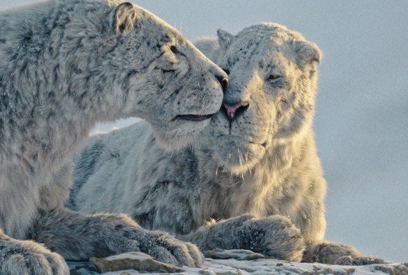 Il pianeta preistorico