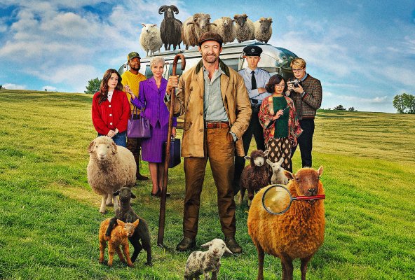 Pecore sotto copertura