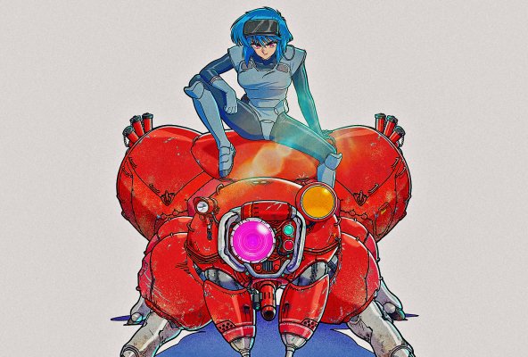 The Ghost in the Shell